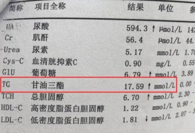 甘油三脂是什么意思