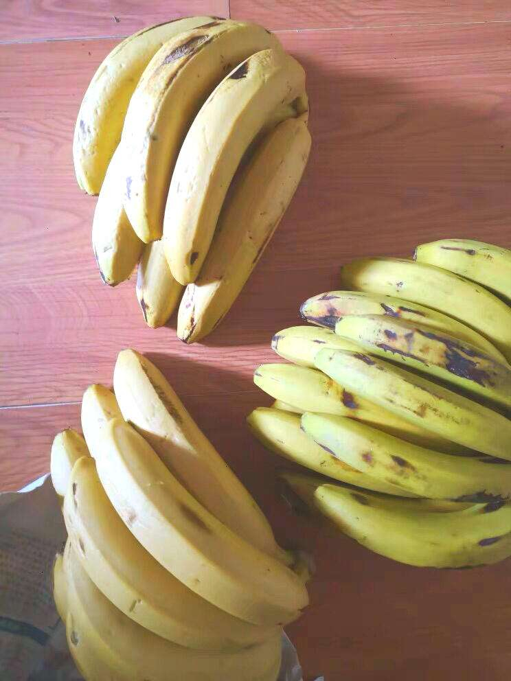 孕妇可以吃香蕉吗