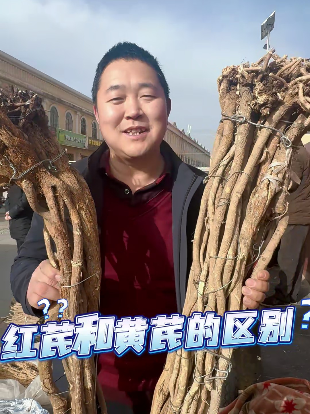 红芪和黄芪的区别