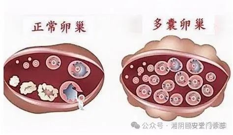 2025年12月20日 第55页