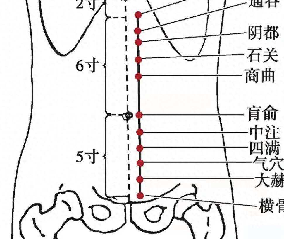 三阴交,合谷穴,中极穴,大赫穴,横骨穴,