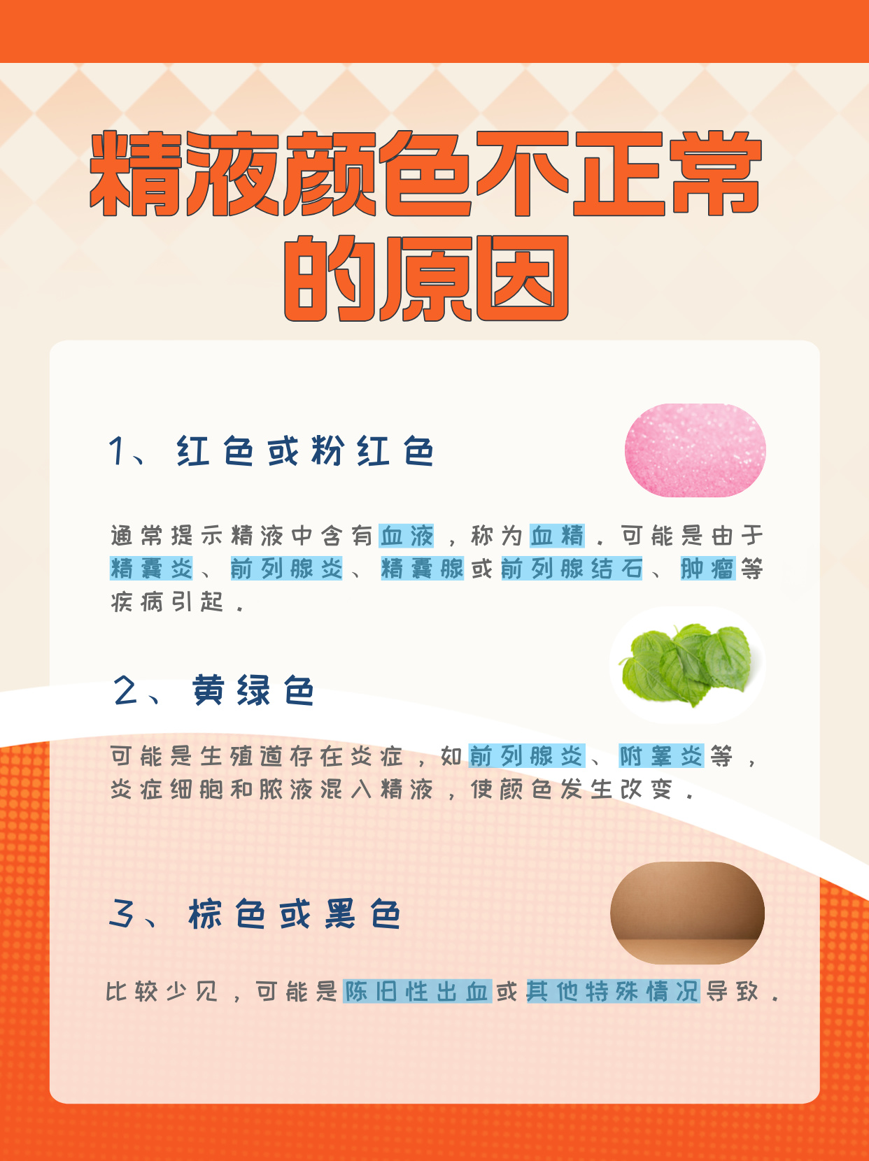 2025年12月20日 第3页