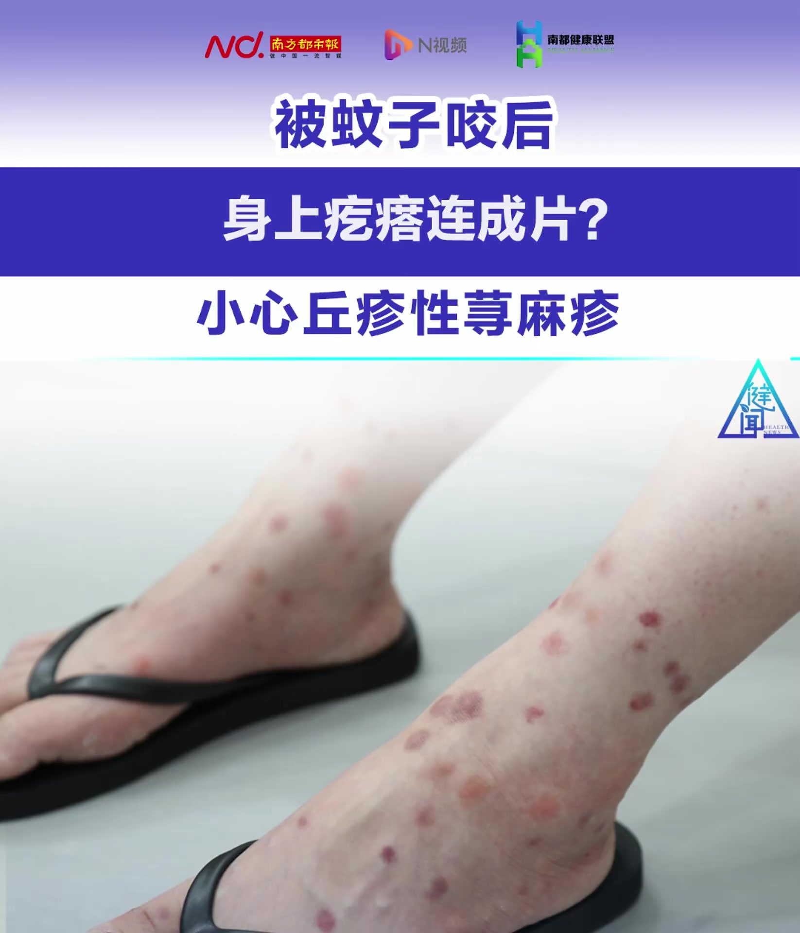 2025年12月20日 第6页