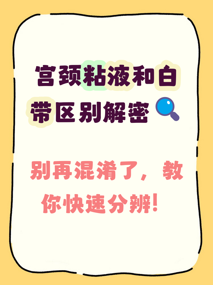 先排卵还是先白带拉丝