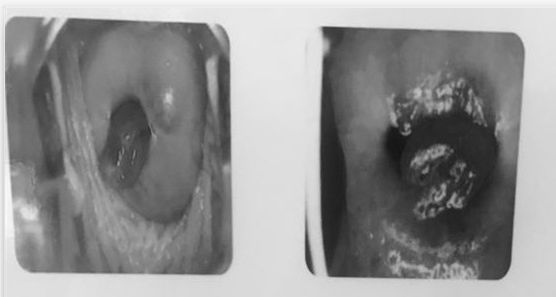 2025年12月21日 第56页