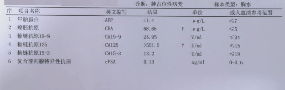 2025年12月21日 第54页