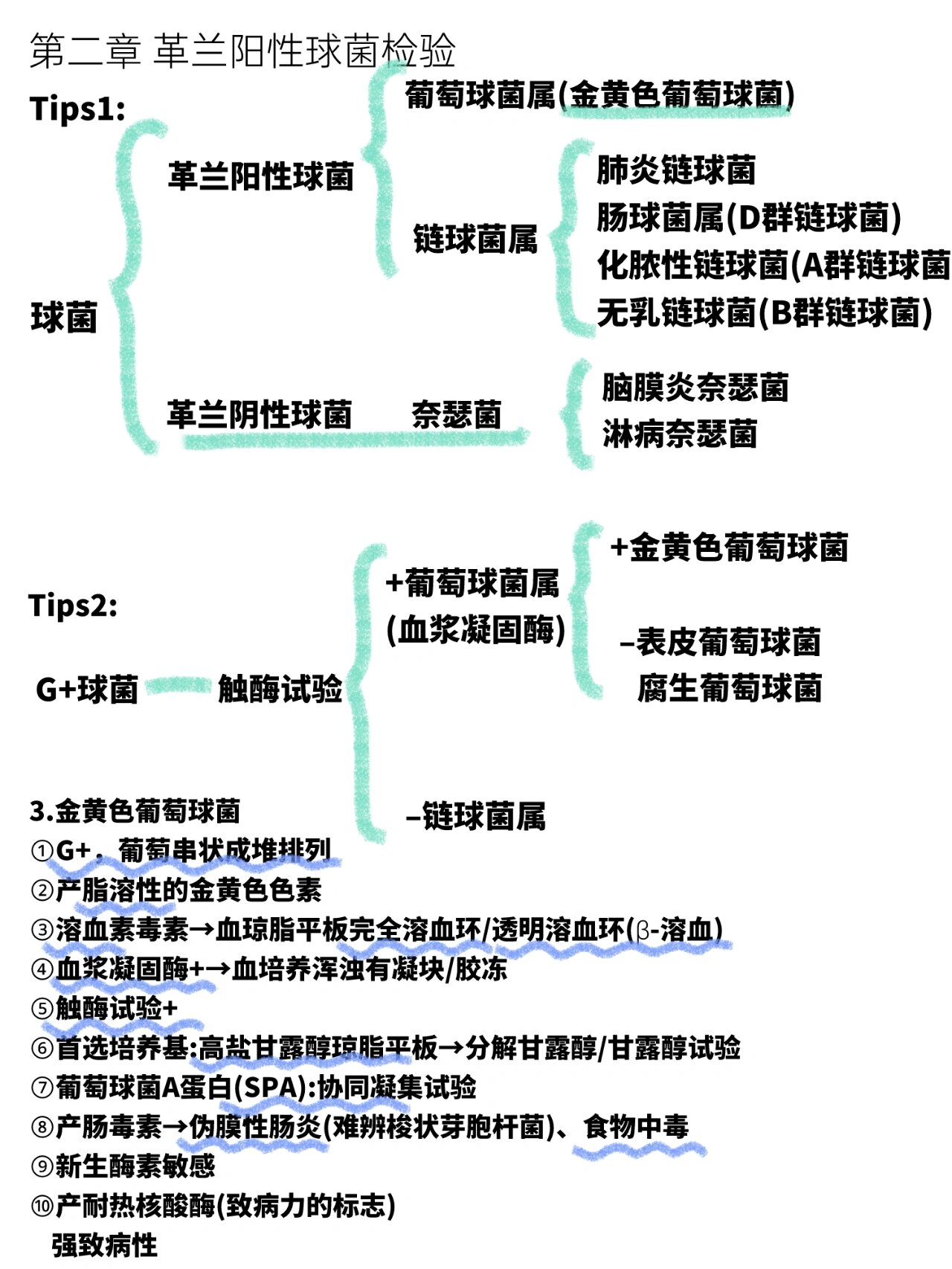 革兰阳性球菌怎么治疗?