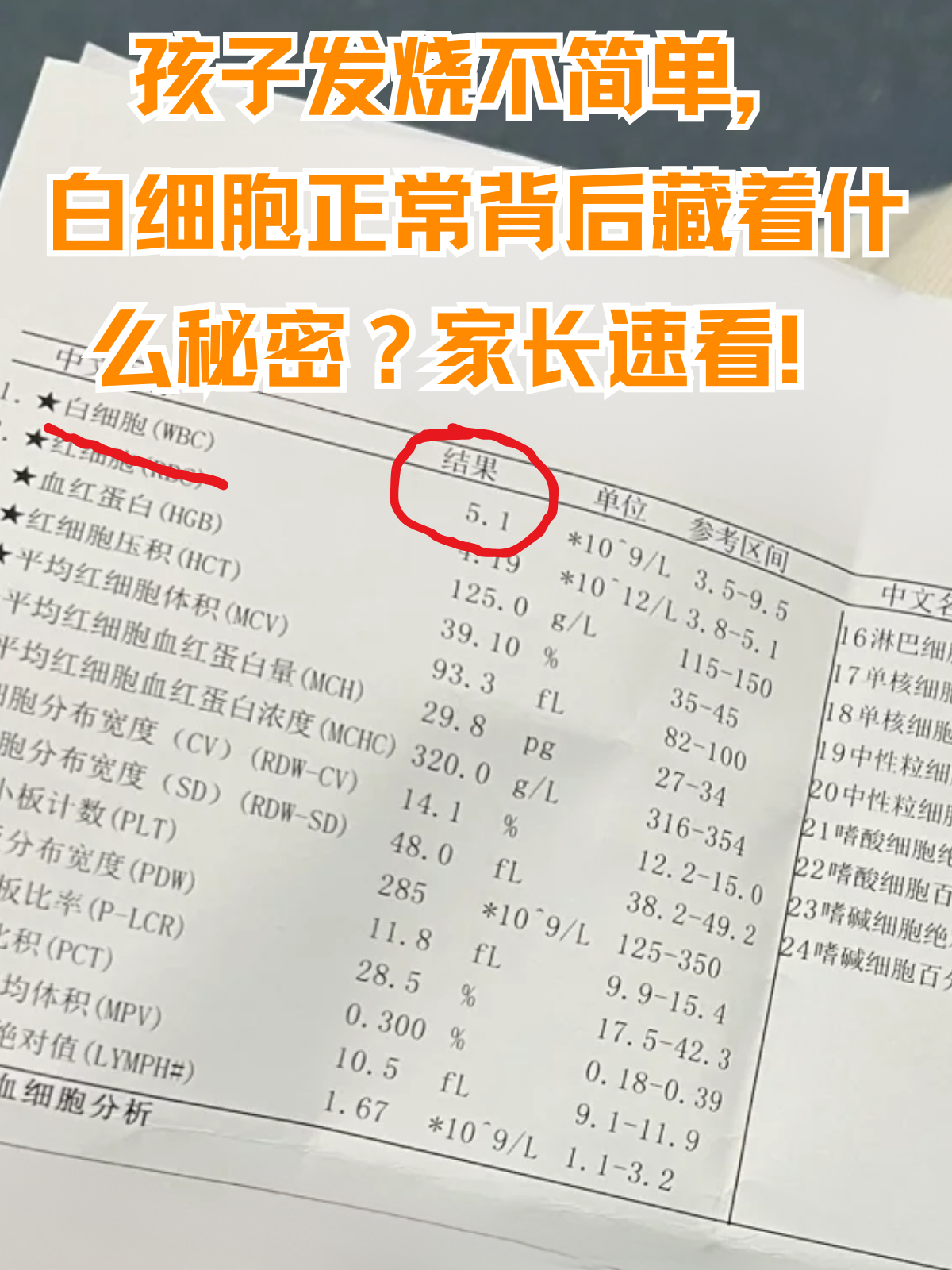 白细胞减少症引起什么病
