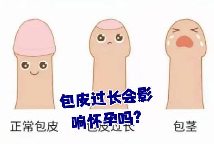 包皮过长会影响发育吗