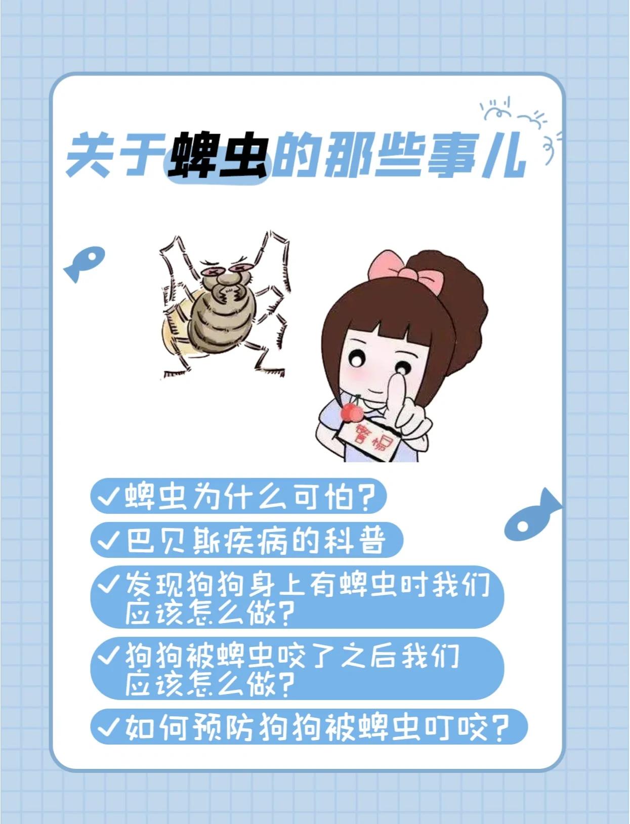 脾虫是怎么回事.怎么传播的,谢谢.