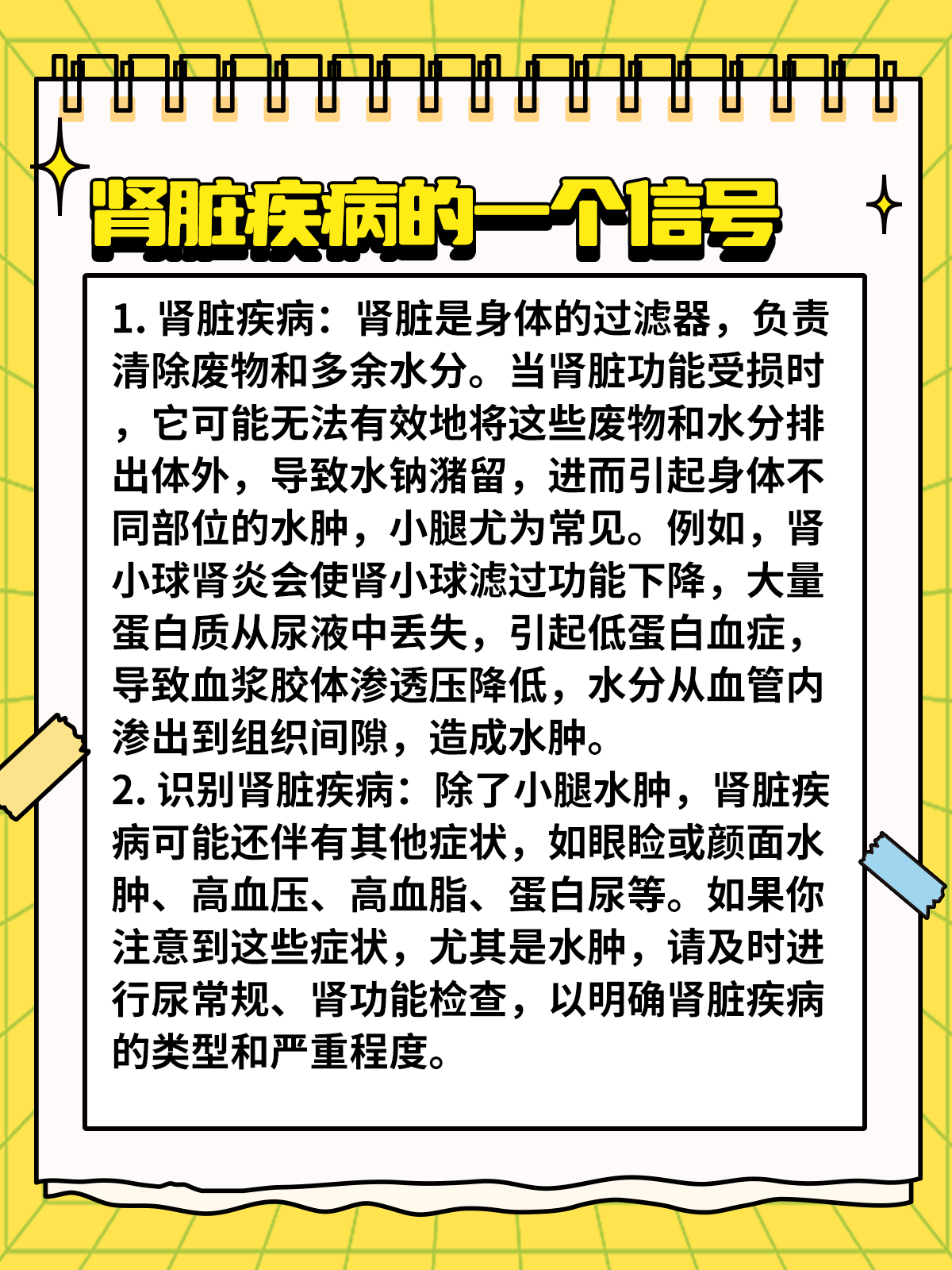 肾盂肾炎能治好吗?