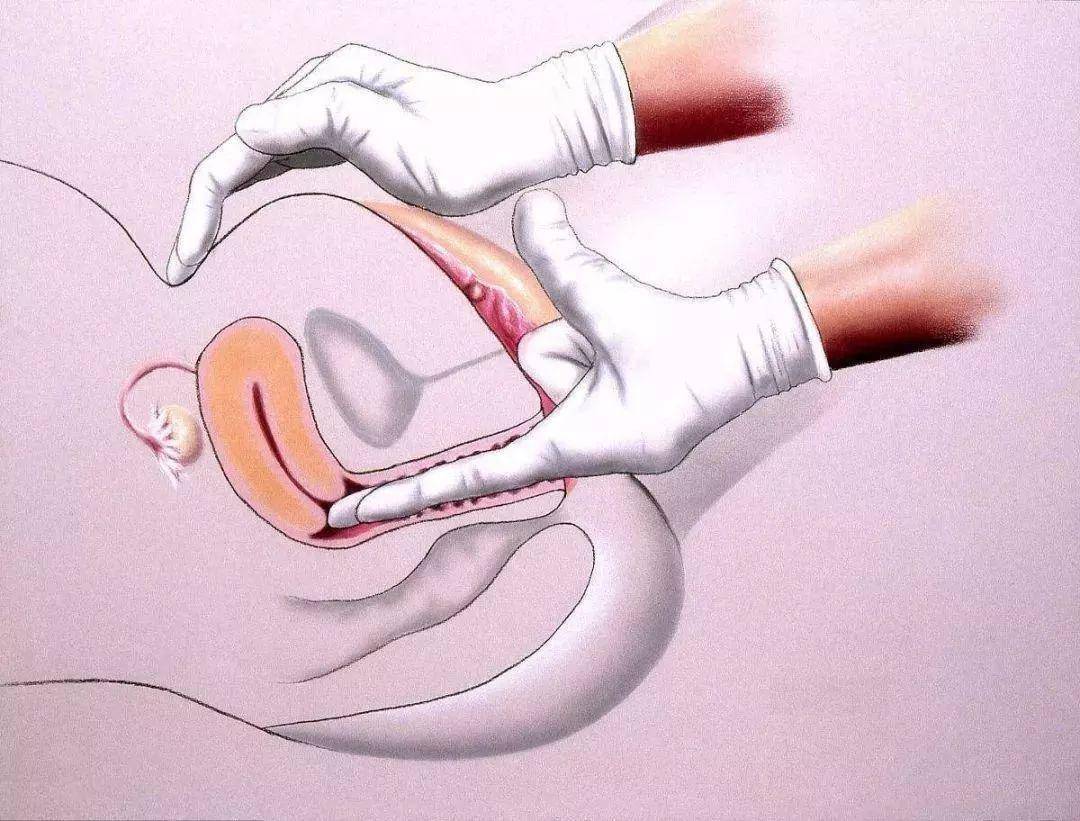 b超是检查什么的