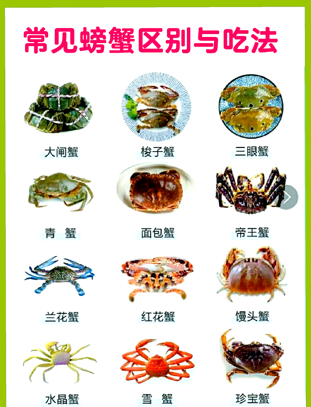 月子的能吃螃蟹吗