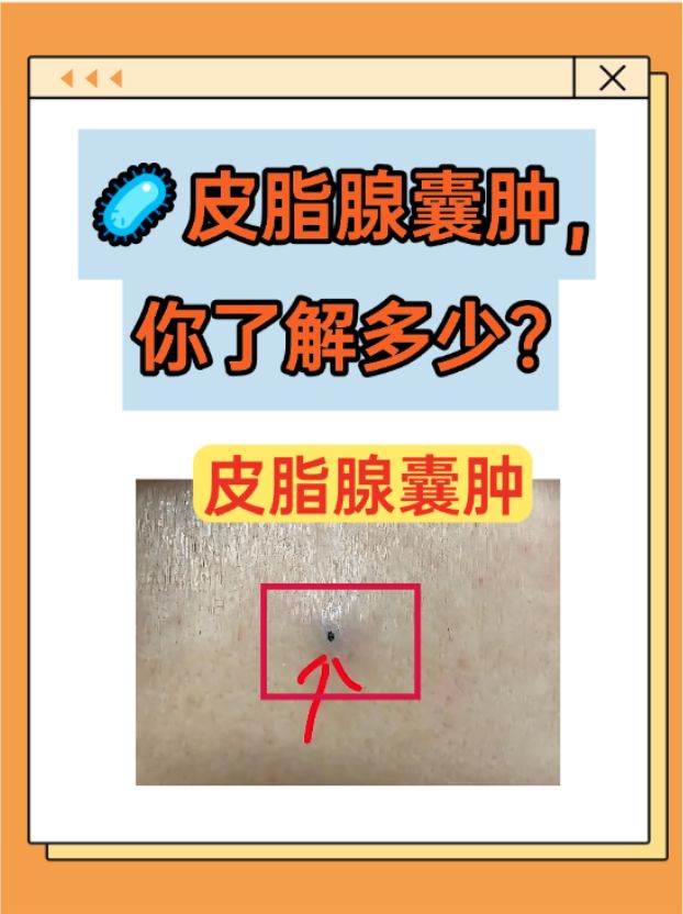 2025年12月24日 第53页