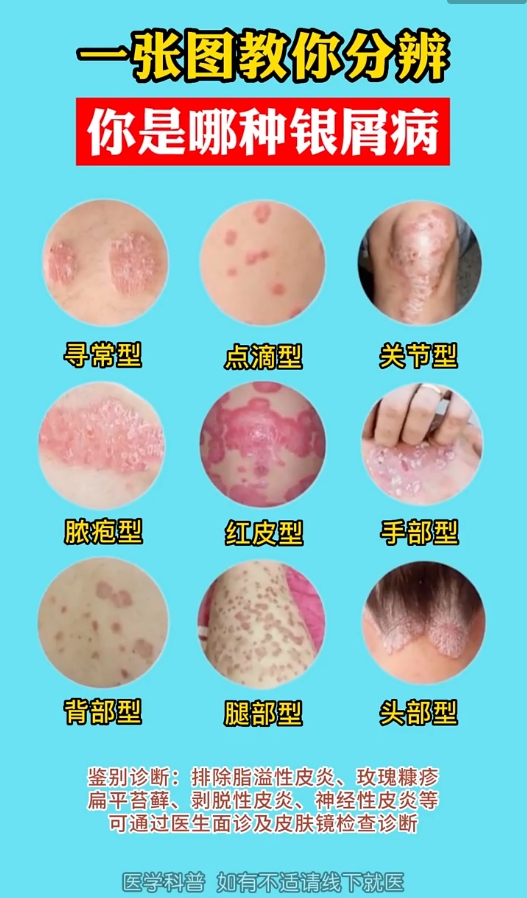 2025年12月24日 第27页