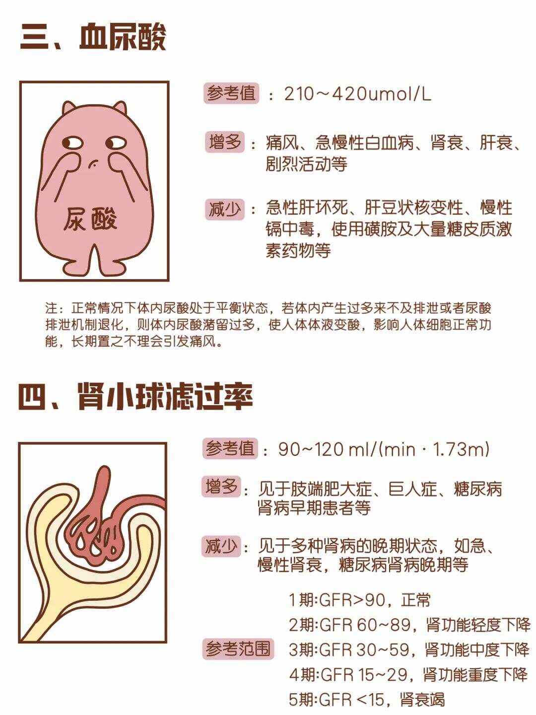 检查肾功能要检查什么