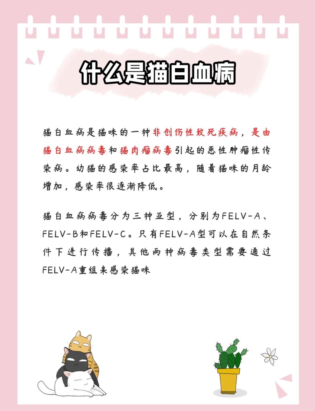 白血病应如何预防