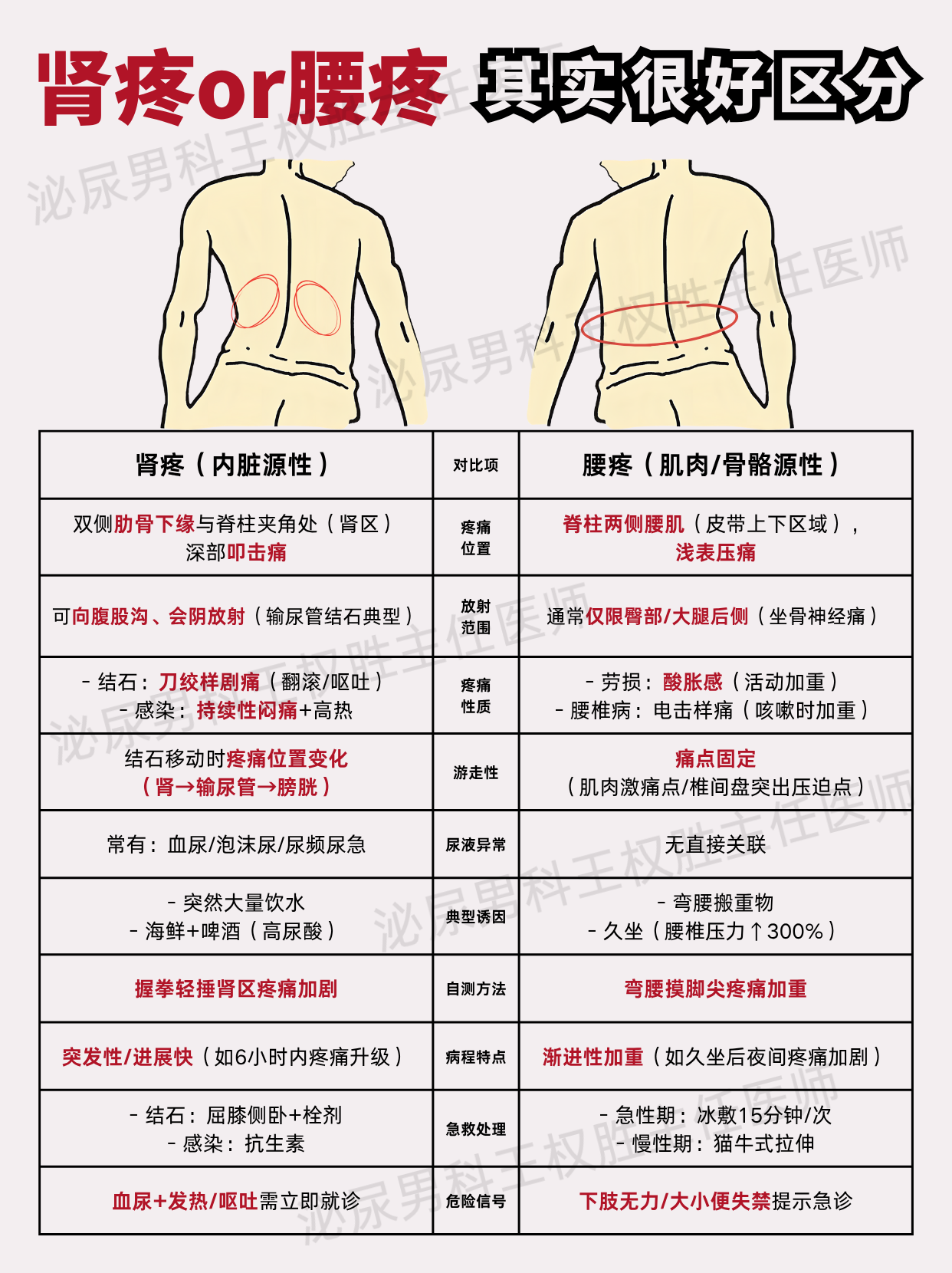 2025年12月25日 第52页