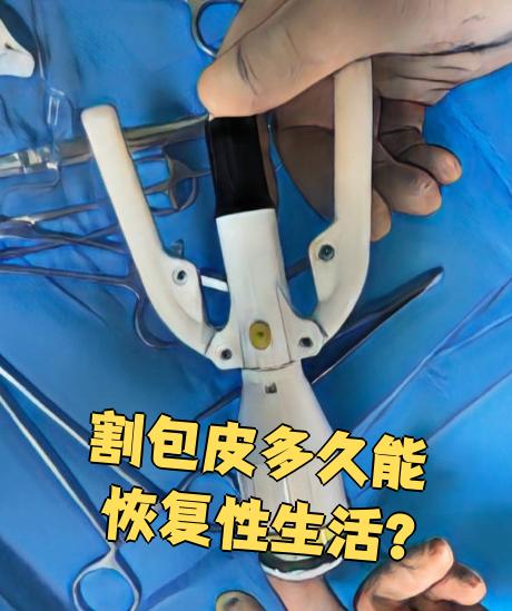 2025年12月25日 第51页