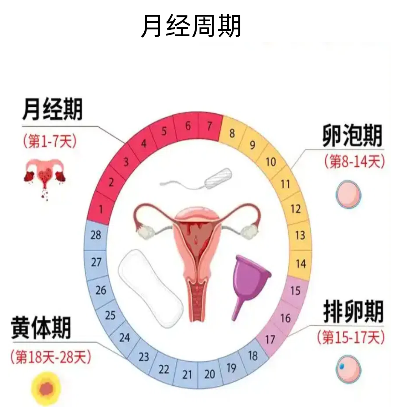 月经来几天算是正常的