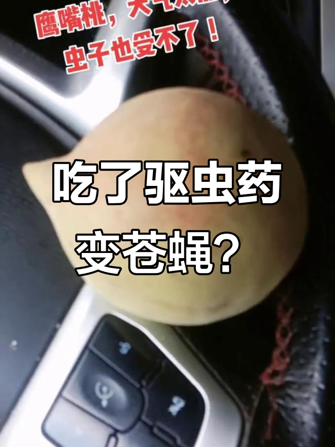 7岁小孩子吃了两粒打虫药肚子里拉出蛔虫