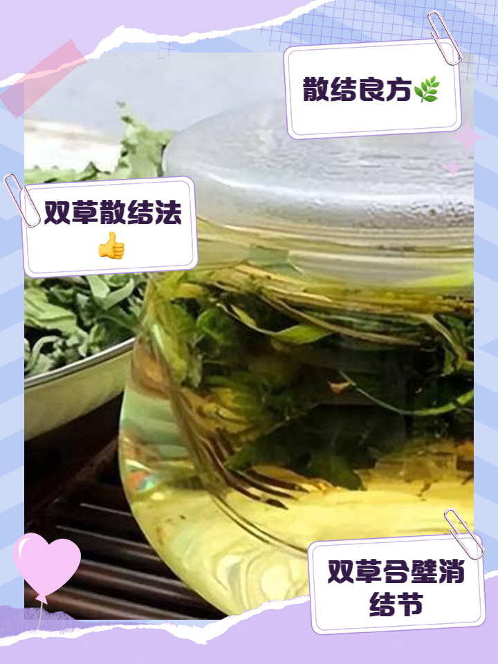 蒲公英泡枸杞什么功效