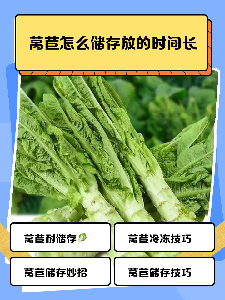 莴苣的营养价值