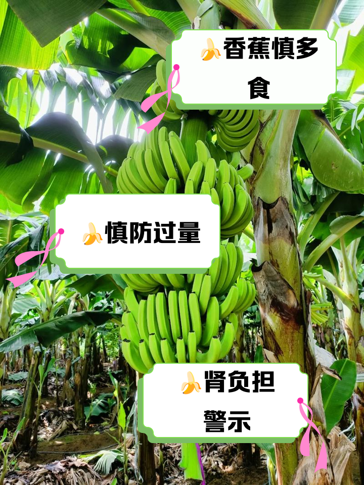 香蕉的营养价值和功效