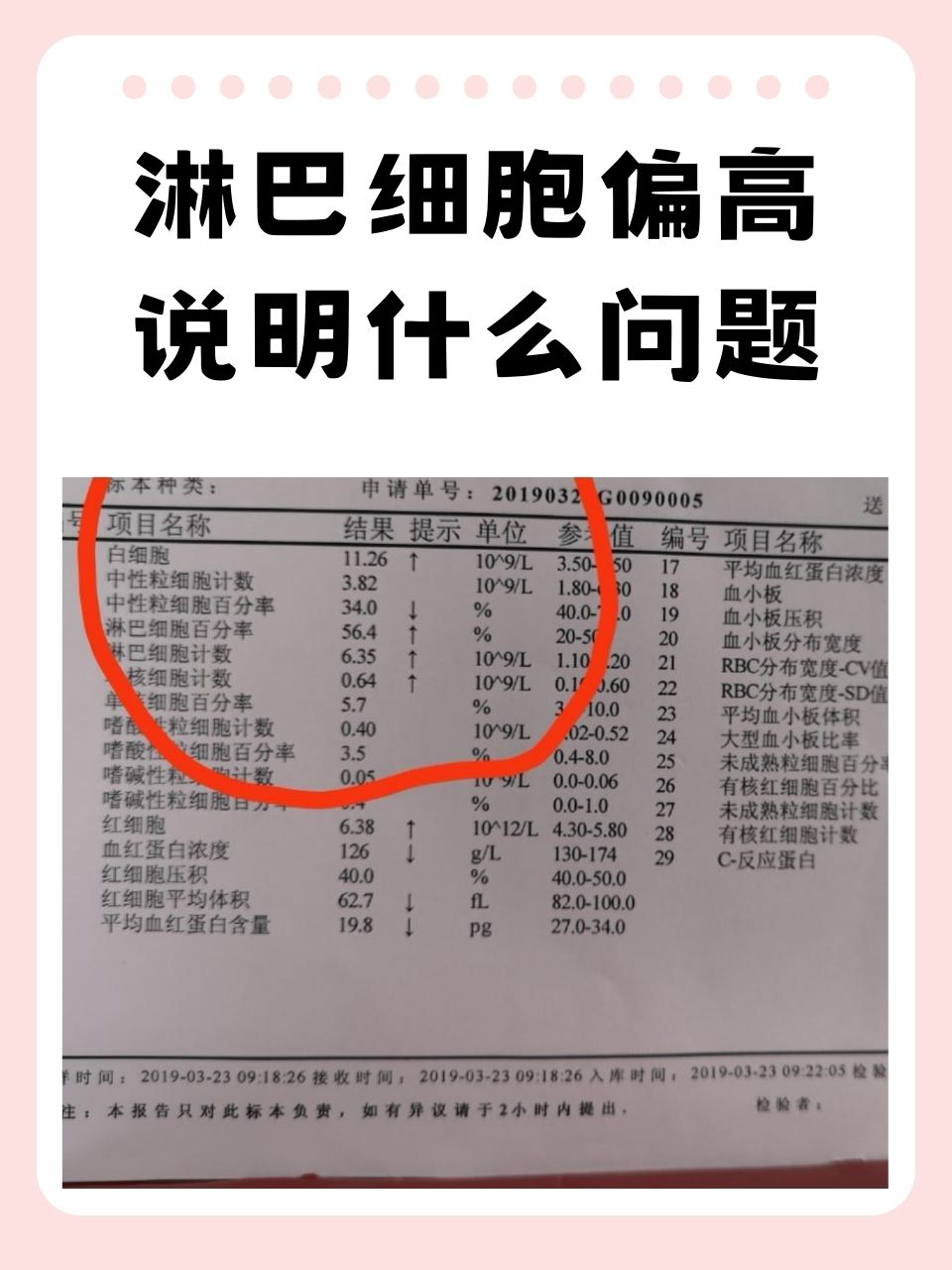 中性细胞比率偏低