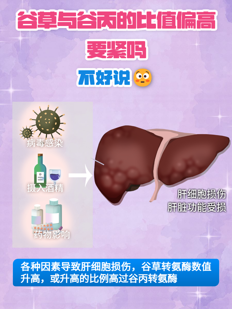 谷草转氨酶偏高怎么办