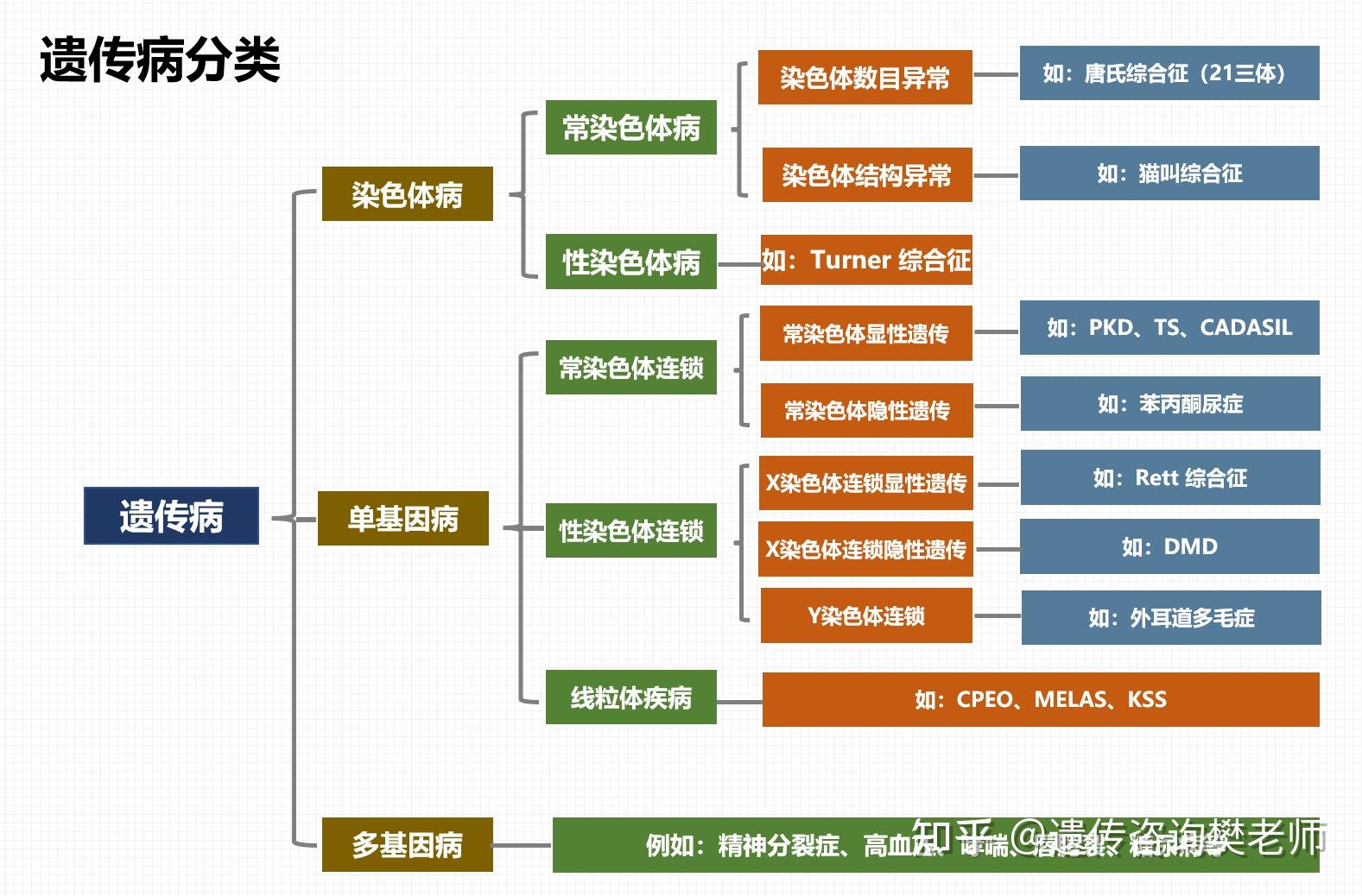 人类有哪些常见遗传病
