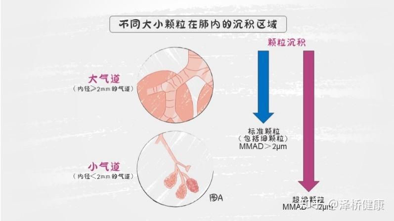 小气道功能障碍..