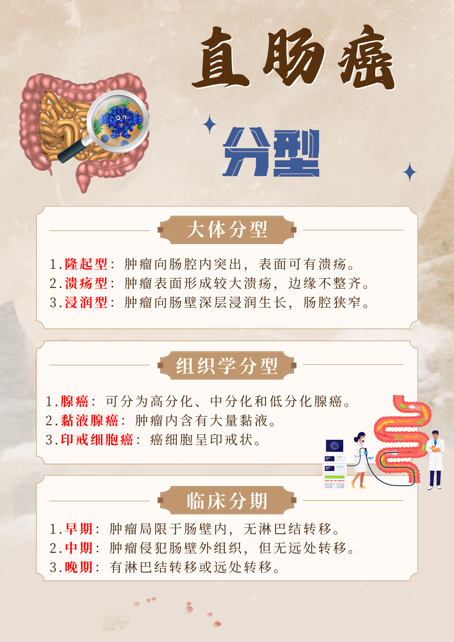 2025年12月28日 第51页