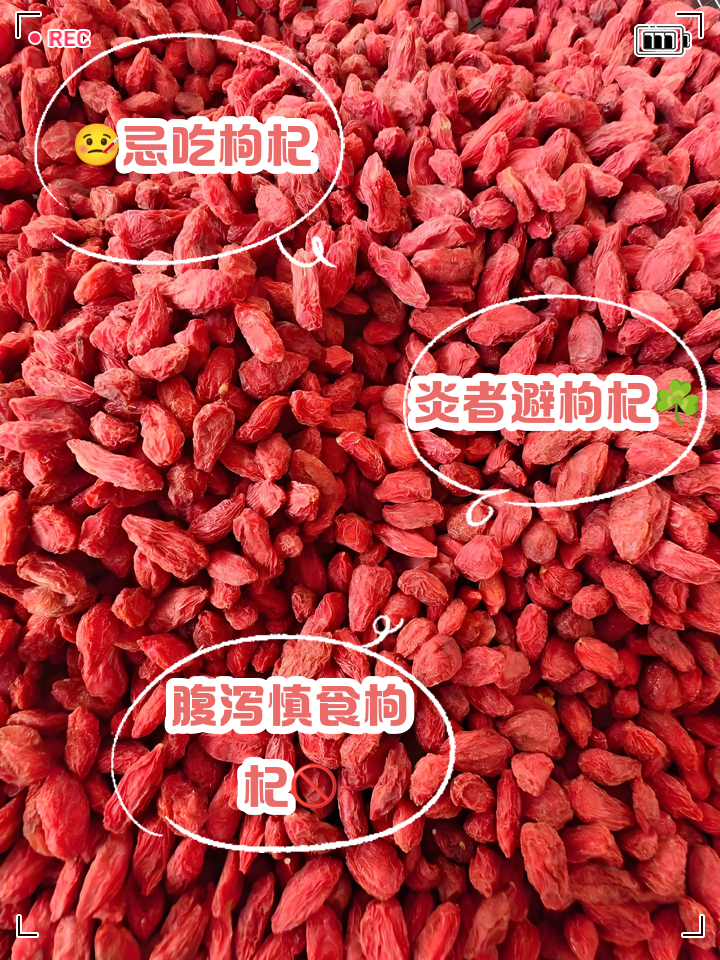 吃枸杞子会上火吗