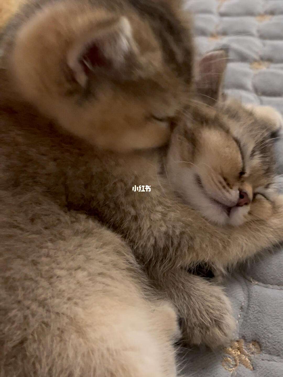 我每晚睡觉喜欢摸着自己的小弟弟,正常吗