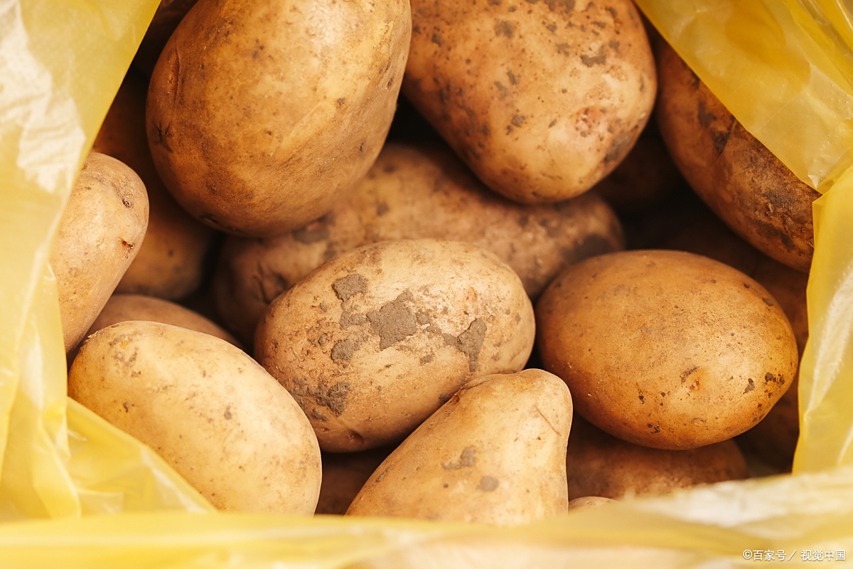 孕妇可以吃土豆.......吗?