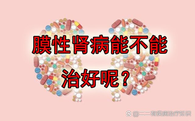 膜性肾病可以治好吗?