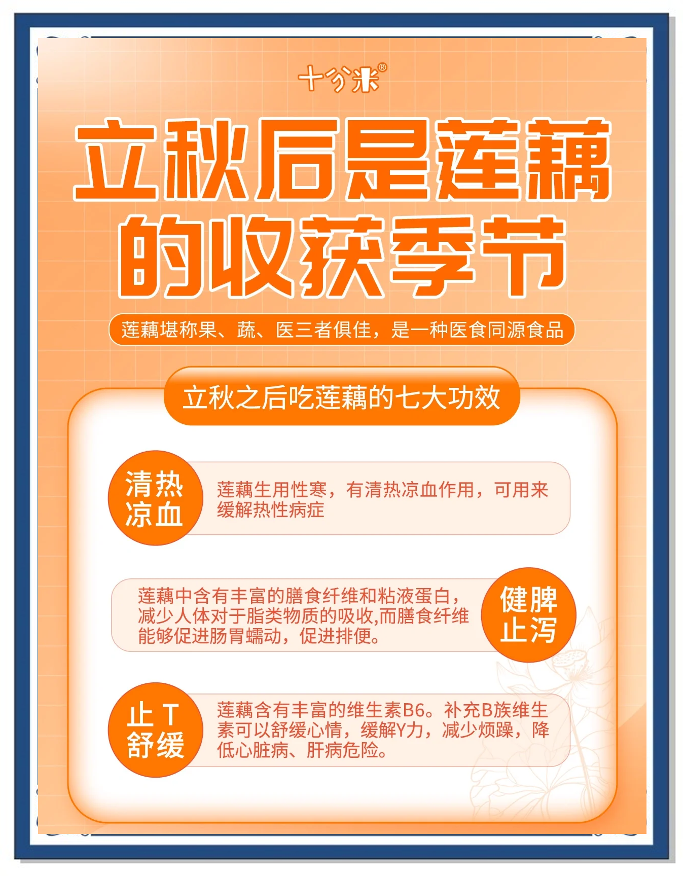 孕妇可以吃莲藕吗?