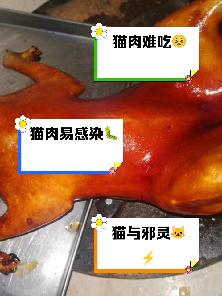 猫头鹰的肉可以吃吗?