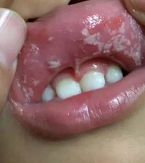 2025年12月30日 第5页