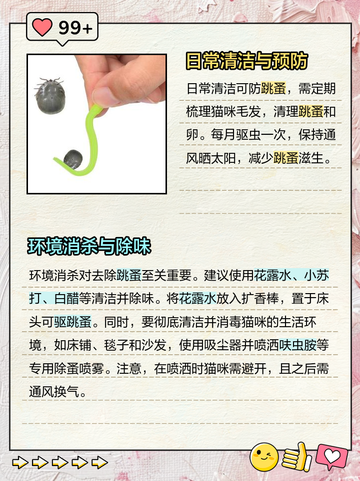 家里有虱子怎么去除