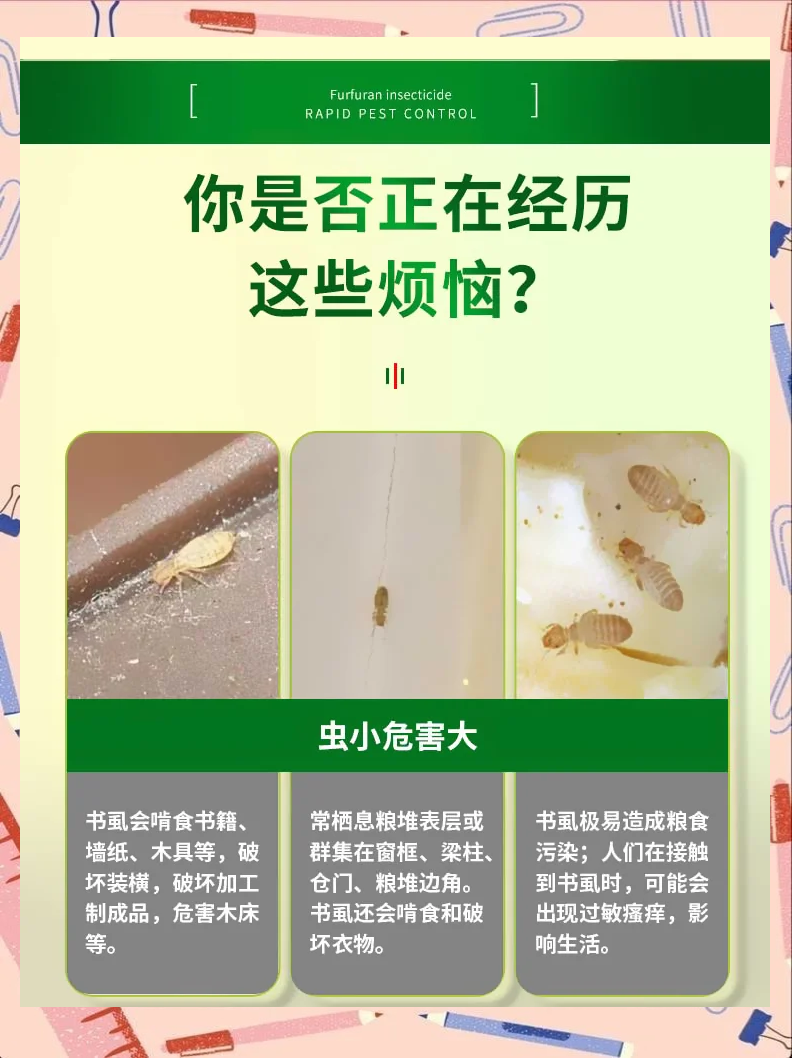 家里有虱子怎么去除