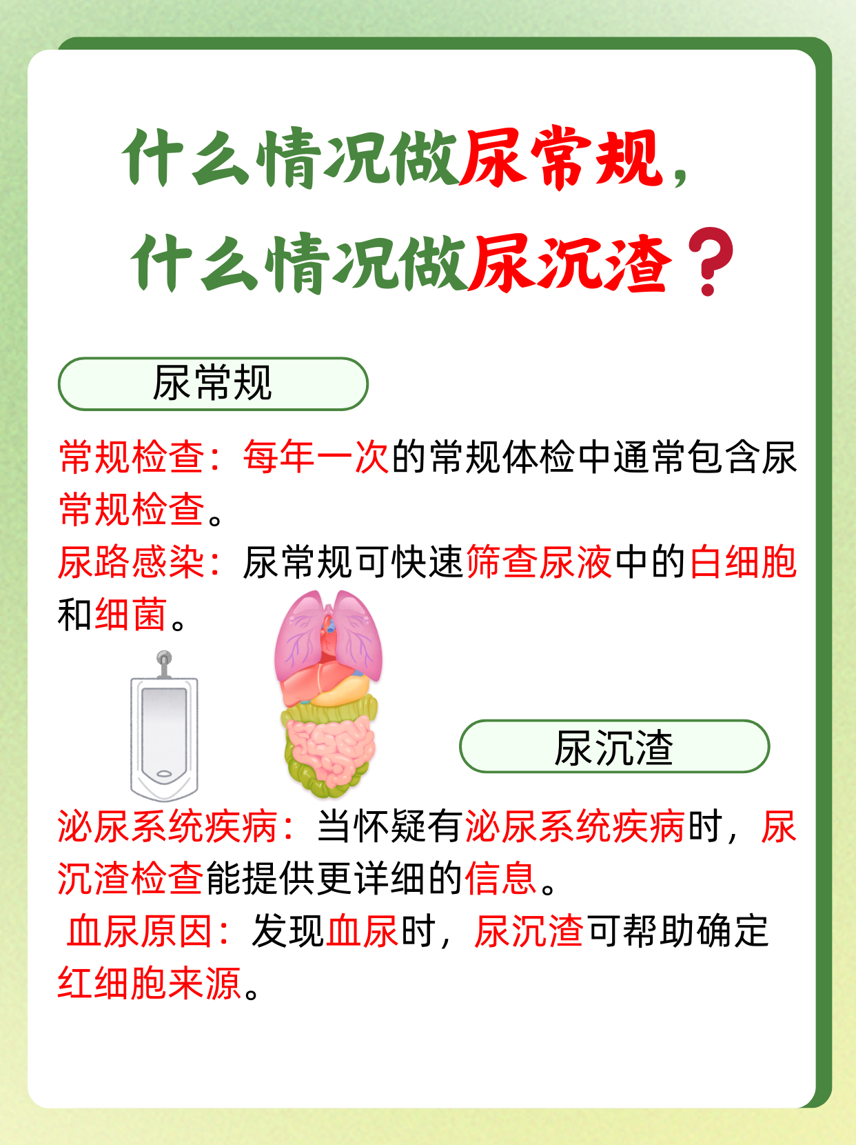 尿常规主要检查什么