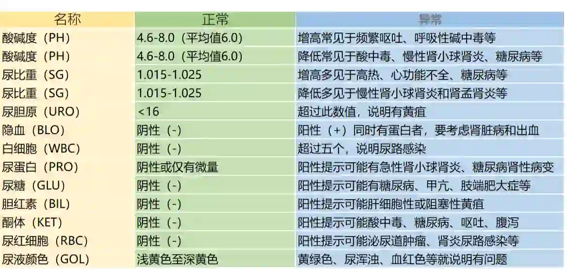 尿常规主要检查什么