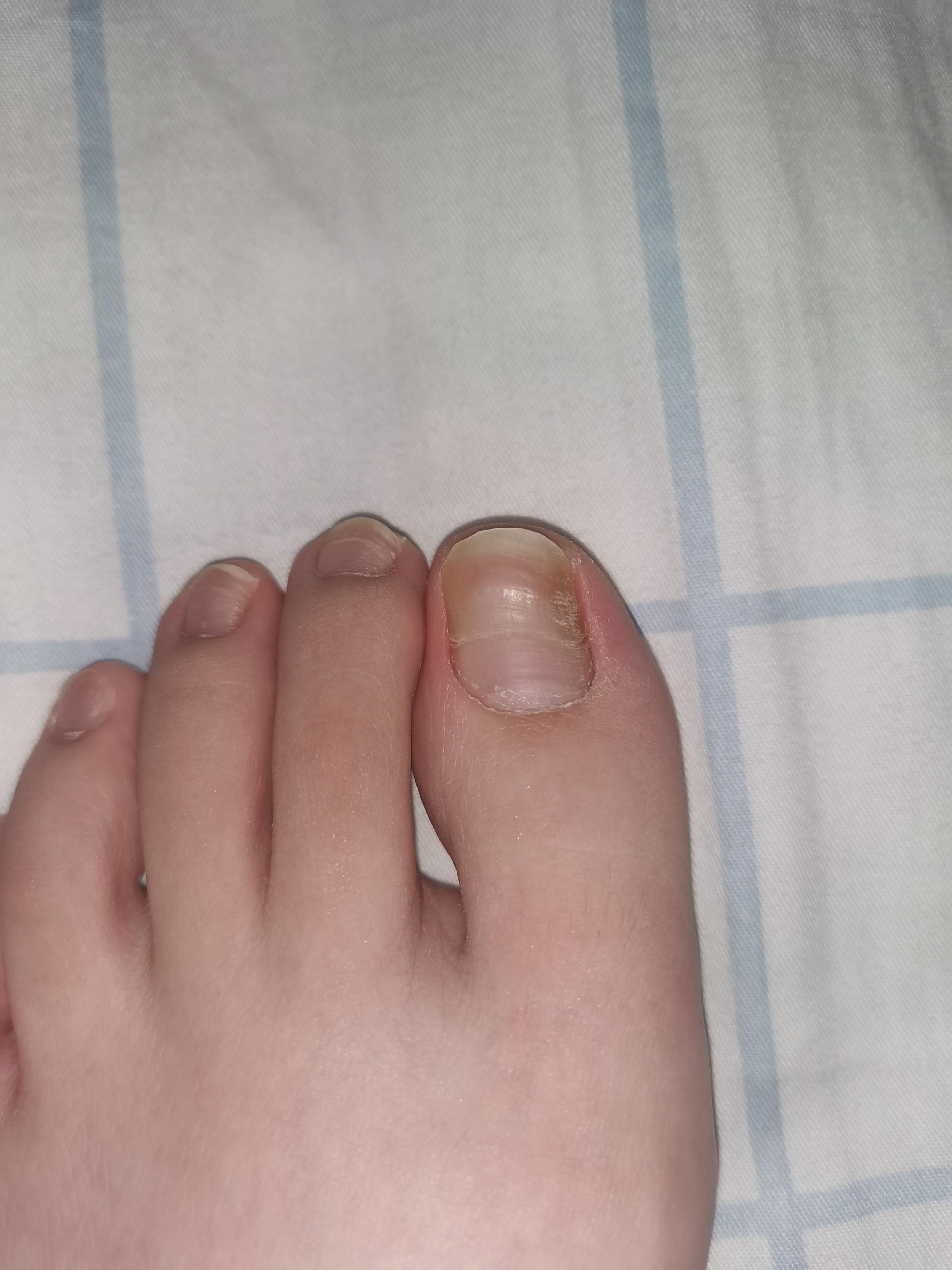 2025年12月31日 第51页