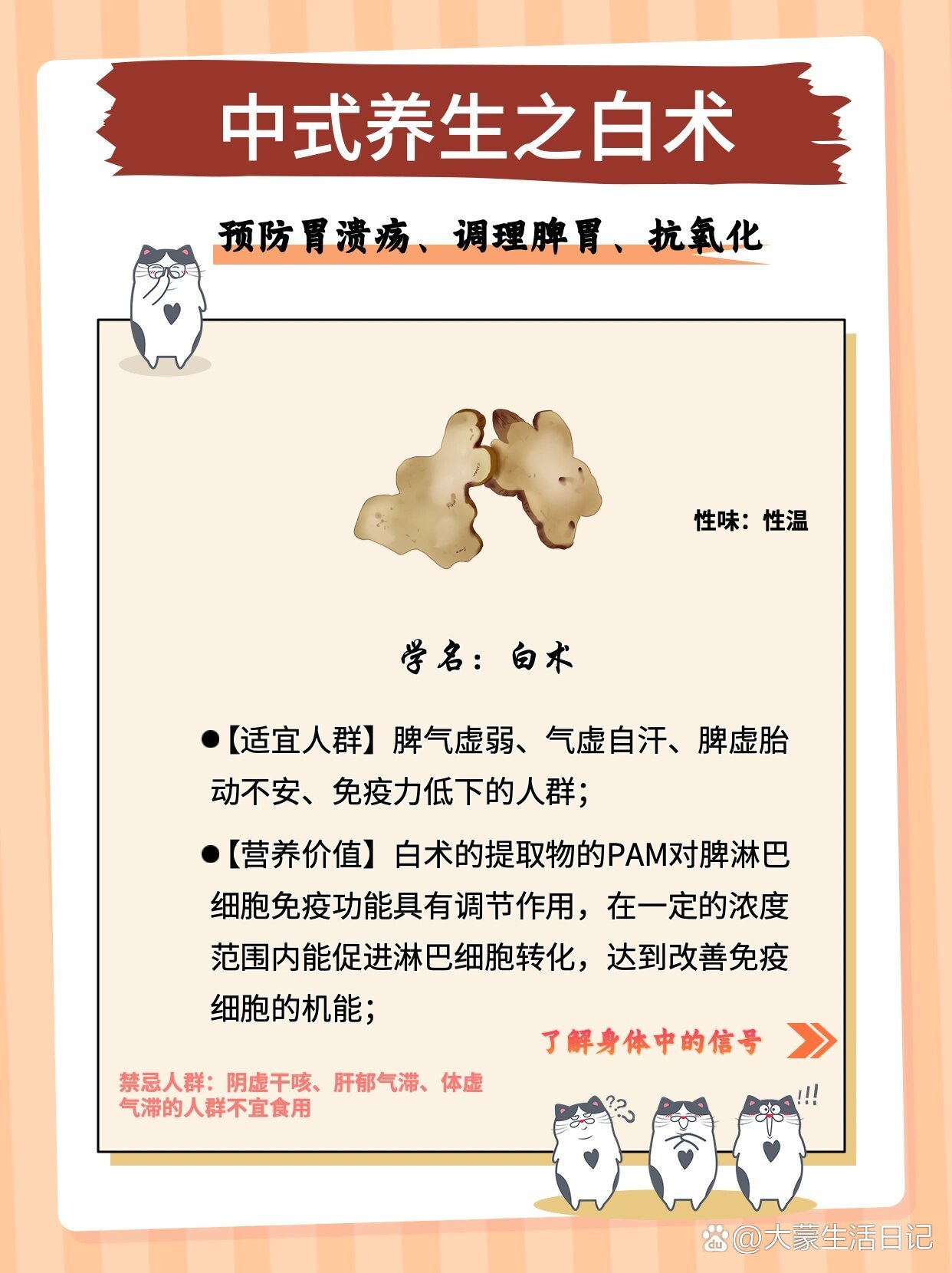 白术作用和功效