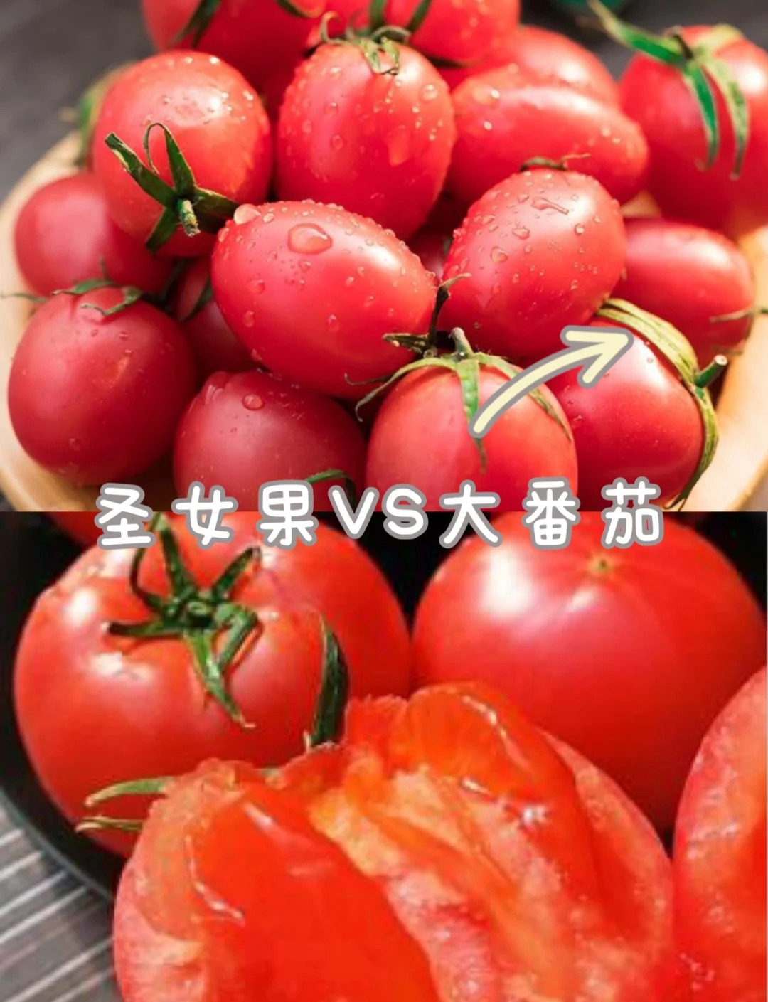 怀孕初期西红柿可以吃吗