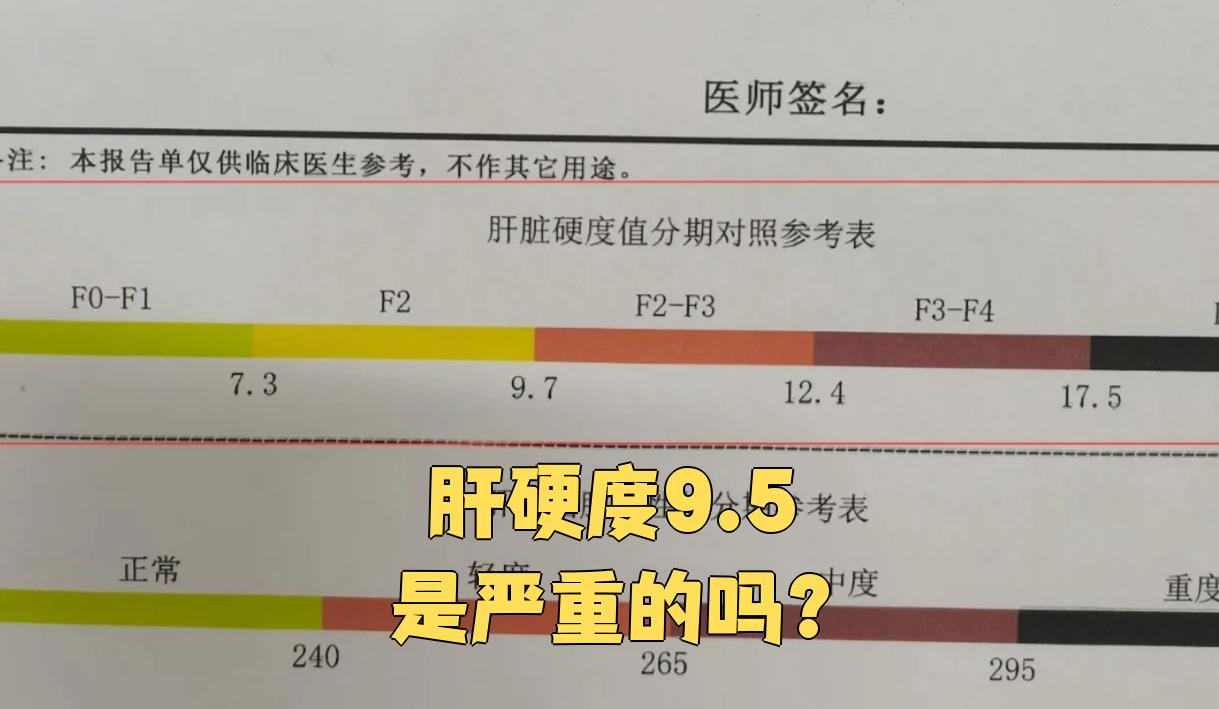 肝纤维化分期标准