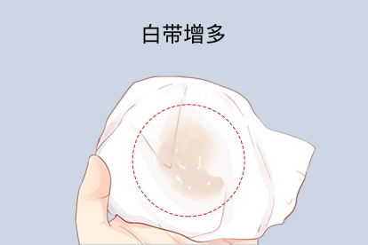 2025年12月31日 第5页