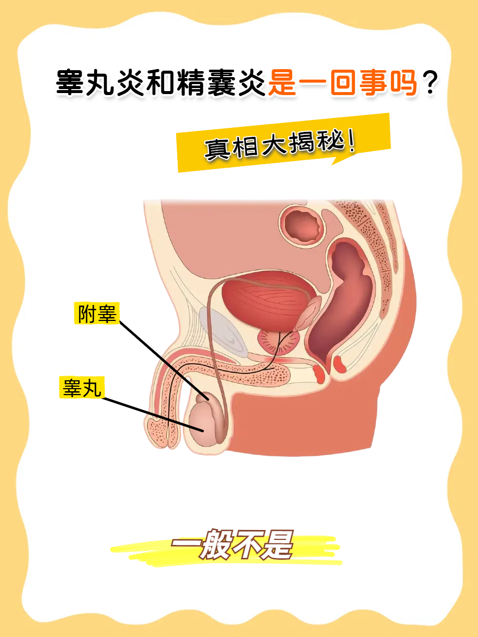 2025年12月31日 第12页